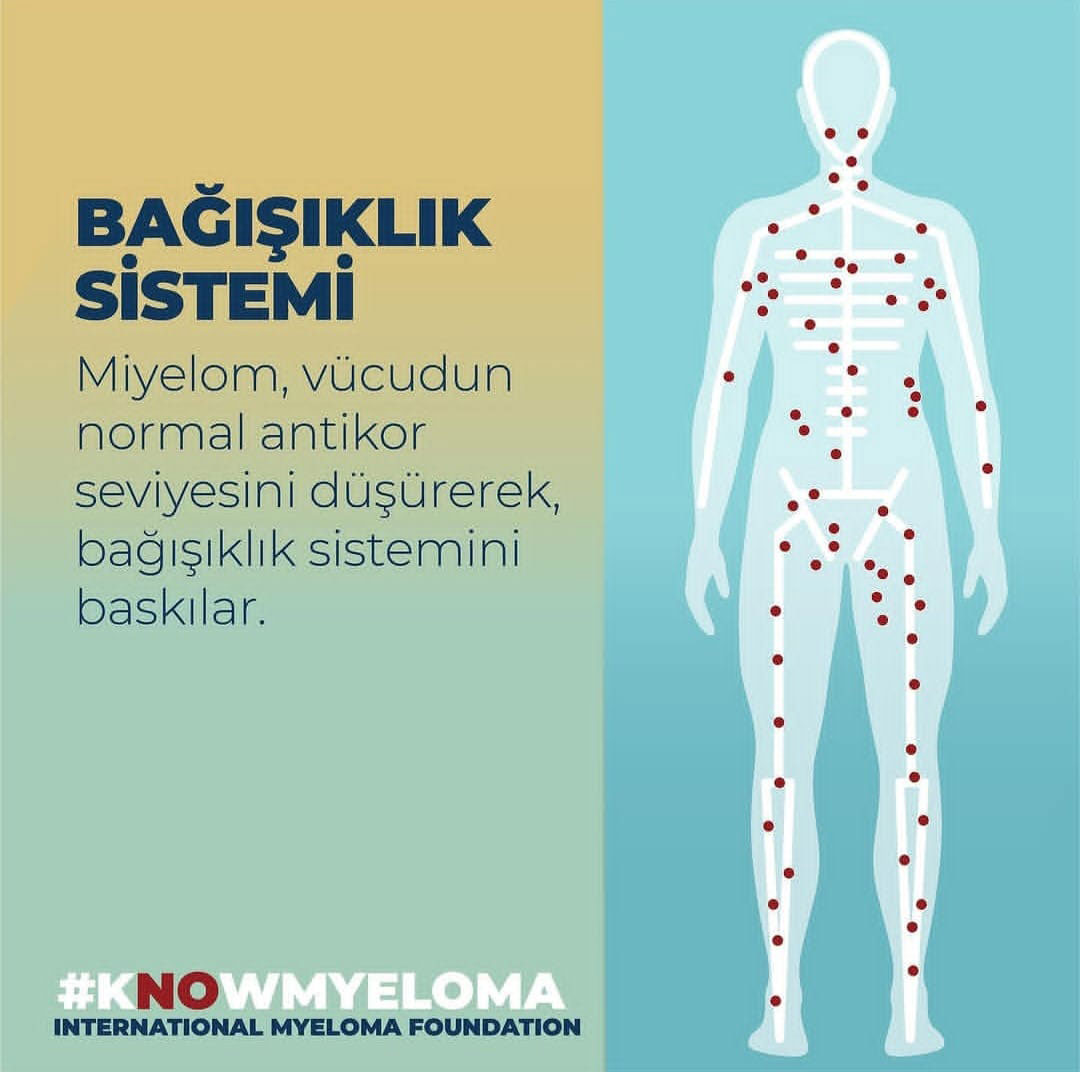 2022 IMF Multiple Miyelom Afişleri