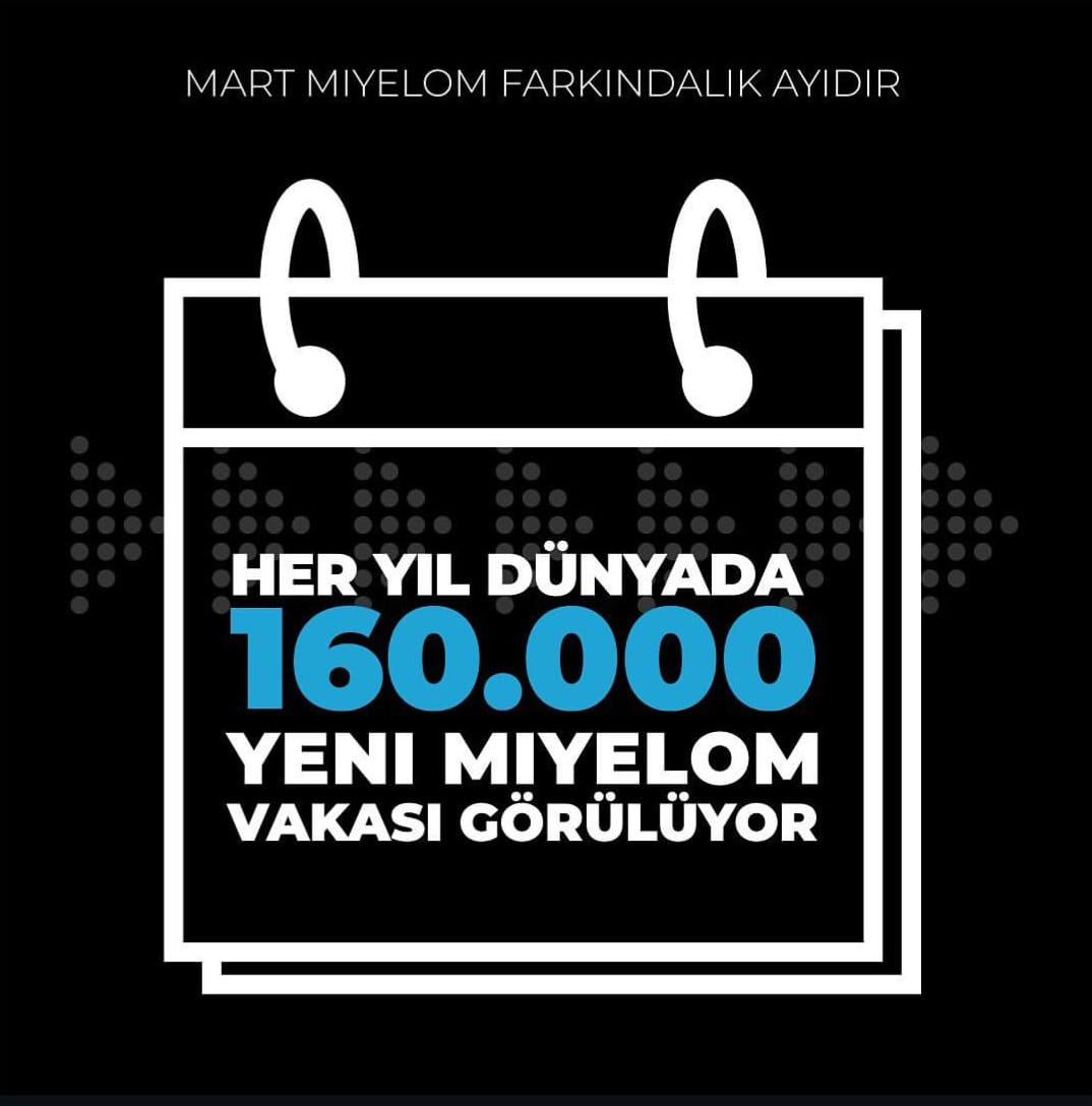 2022 IMF Multiple Miyelom Afişleri