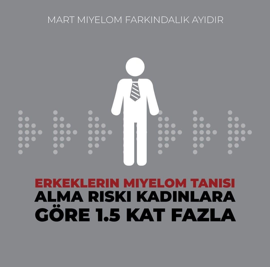 2022 IMF Multiple Miyelom Afişleri