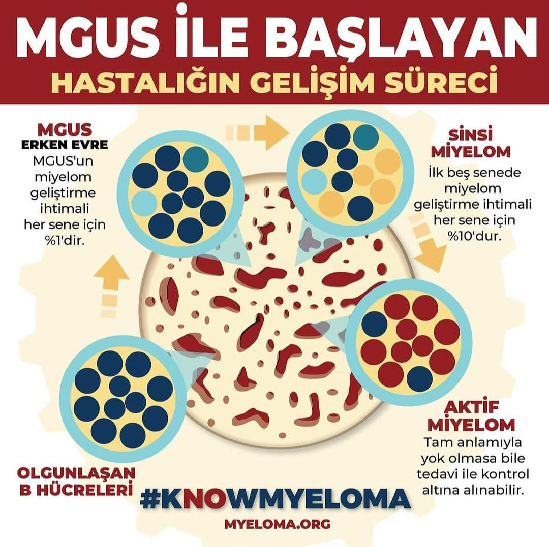 2022 IMF Multiple Miyelom Afişleri